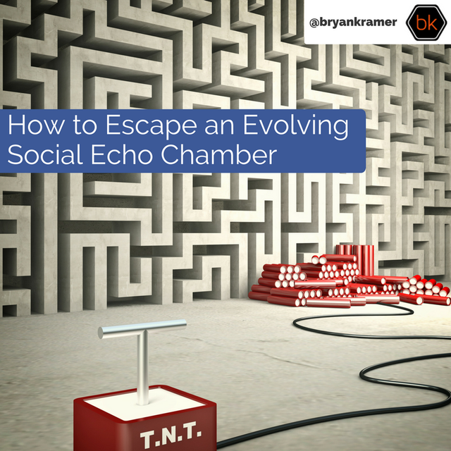 How to Escape an Evolving Social Echo Chamber