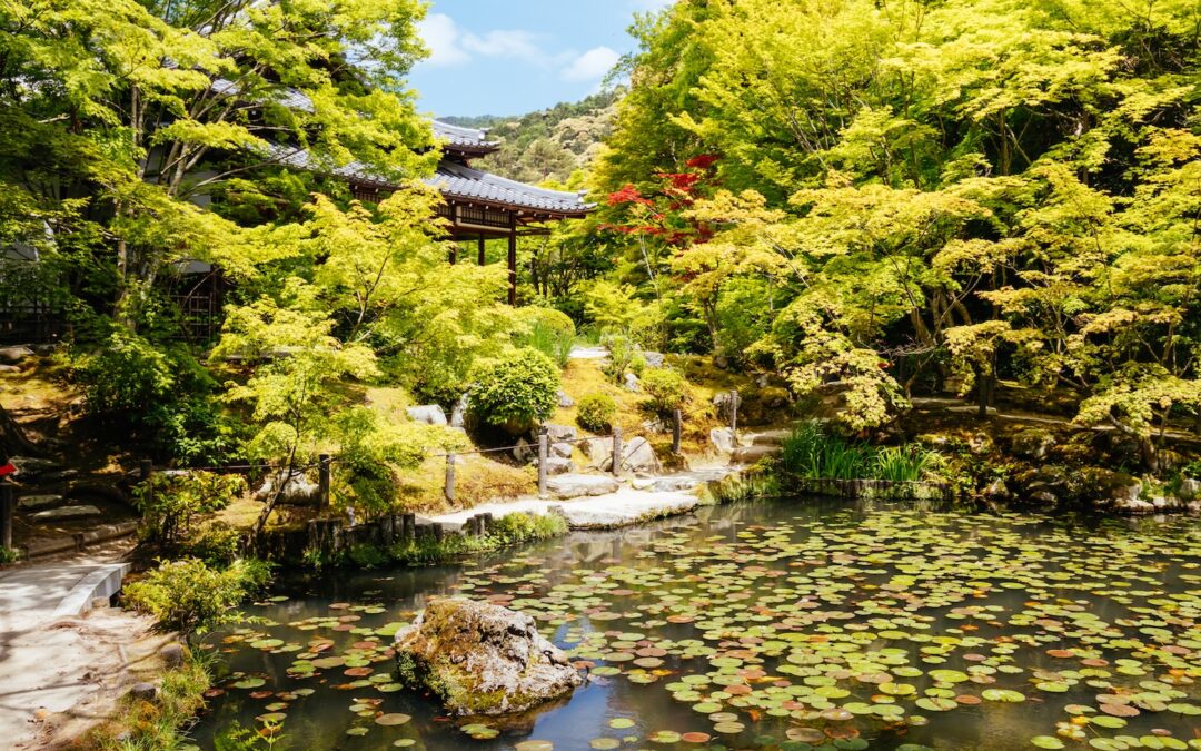 The 5 Rules of Being a Mindful Marketer