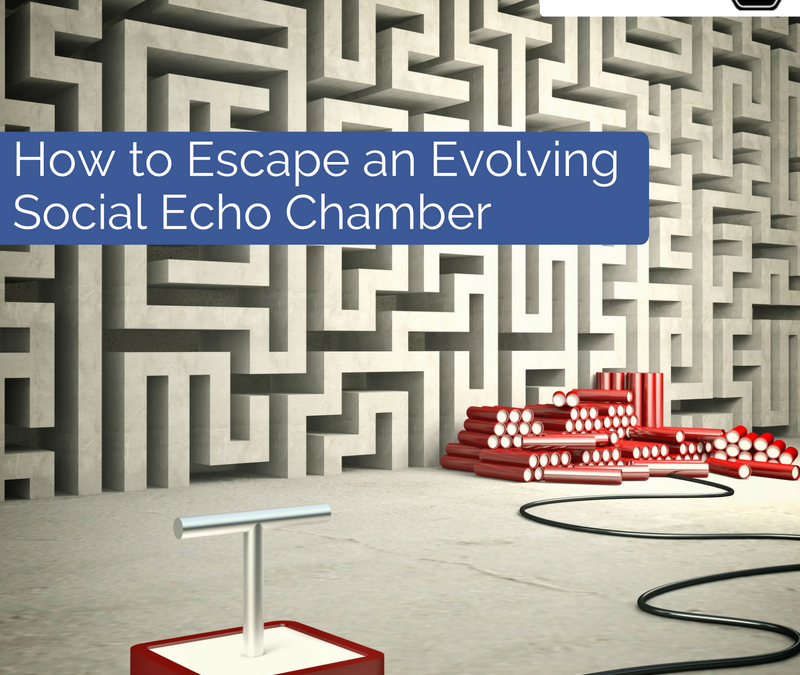 How to Escape an Evolving Social Echo Chamber