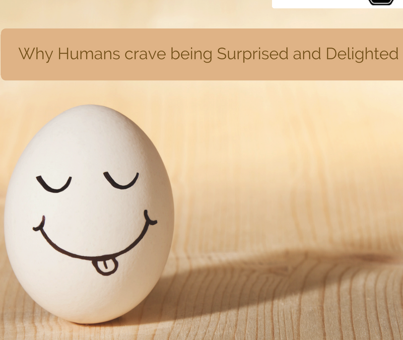 Why Humans crave being Surprised and Delighted